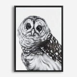 Shop Snow Owl Canvas Print a painted bird themed framed canvas wall art print from The Print Emporium artwork collection - Buy Australian made fine art painting style stretched canvas prints for the home and your interior decor space, TPE-176-CA-35X46-NF
