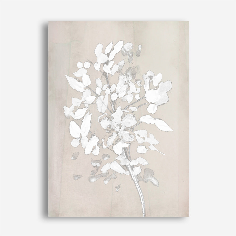 Shop Soft Bloom Canvas Print a painted floral themed abstract style framed canvas wall art print from The Print Emporium artwork collection - Buy Australian made fine art painting style stretched canvas prints for the home and your interior decor space, TPE-DH-096-CA-35X46-NF