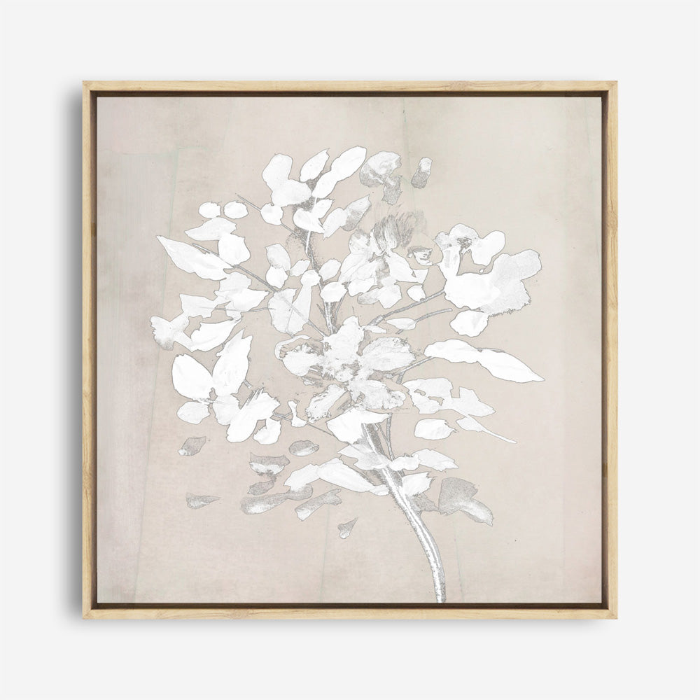Shop Soft Bloom (Square) Canvas Print a painted floral themed abstract style framed canvas wall art print from The Print Emporium artwork collection - Buy Australian made fine art painting style stretched canvas prints for the home and your interior decor space, TPE-DH-319-CA-40X40-NF