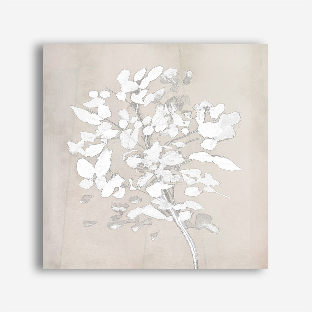 Shop Soft Bloom (Square) Canvas Print a painted floral themed abstract style framed canvas wall art print from The Print Emporium artwork collection - Buy Australian made fine art painting style stretched canvas prints for the home and your interior decor space, TPE-DH-319-CA-40X40-NF