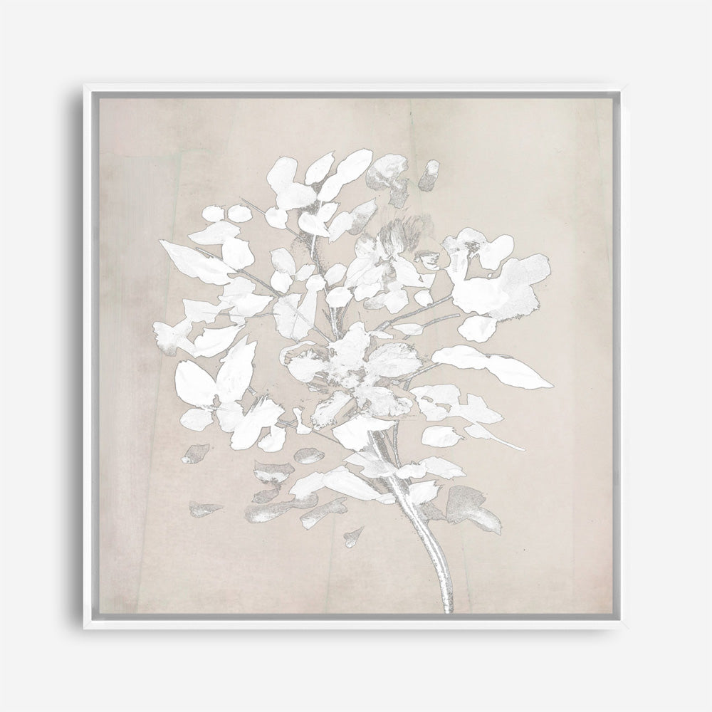 Shop Soft Bloom (Square) Canvas Print a painted floral themed abstract style framed canvas wall art print from The Print Emporium artwork collection - Buy Australian made fine art painting style stretched canvas prints for the home and your interior decor space, TPE-DH-319-CA-40X40-NF
