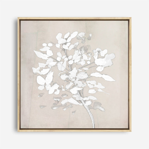 Shop Soft Bloom (Square) Canvas Print a painted floral themed abstract style framed canvas wall art print from The Print Emporium artwork collection - Buy Australian made fine art painting style stretched canvas prints for the home and your interior decor space, TPE-DH-319-CA-40X40-NF