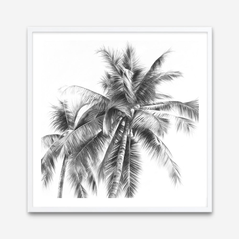 Shop Summer Palms I (B&W) (Square) Art Print a coastal themed painted wall art print from The Print Emporium wall artwork collection - Buy Australian made fine art painting style poster and framed prints for the home and your interior decor room, TPE-357-AP
