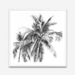 Shop Summer Palms I (B&W) (Square) Art Print a coastal themed painted wall art print from The Print Emporium wall artwork collection - Buy Australian made fine art painting style poster and framed prints for the home and your interior decor room, TPE-357-AP