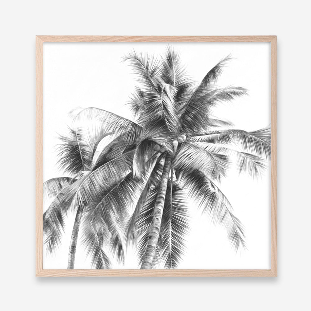 Shop Summer Palms I (B&W) (Square) Art Print a coastal themed painted wall art print from The Print Emporium wall artwork collection - Buy Australian made fine art painting style poster and framed prints for the home and your interior decor room, TPE-357-AP
