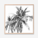 Shop Summer Palms I (B&W) (Square) Art Print a coastal themed painted wall art print from The Print Emporium wall artwork collection - Buy Australian made fine art painting style poster and framed prints for the home and your interior decor room, TPE-357-AP