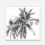 Shop Summer Palms I (B&W) (Square) Art Print a coastal themed painted wall art print from The Print Emporium wall artwork collection - Buy Australian made fine art painting style poster and framed prints for the home and your interior decor room, TPE-357-AP