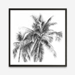 Shop Summer Palms I (B&W) (Square) Art Print a coastal themed painted wall art print from The Print Emporium wall artwork collection - Buy Australian made fine art painting style poster and framed prints for the home and your interior decor room, TPE-357-AP