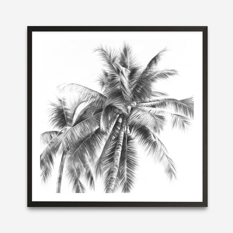 Shop Summer Palms I (B&W) (Square) Art Print a coastal themed painted wall art print from The Print Emporium wall artwork collection - Buy Australian made fine art painting style poster and framed prints for the home and your interior decor room, TPE-357-AP