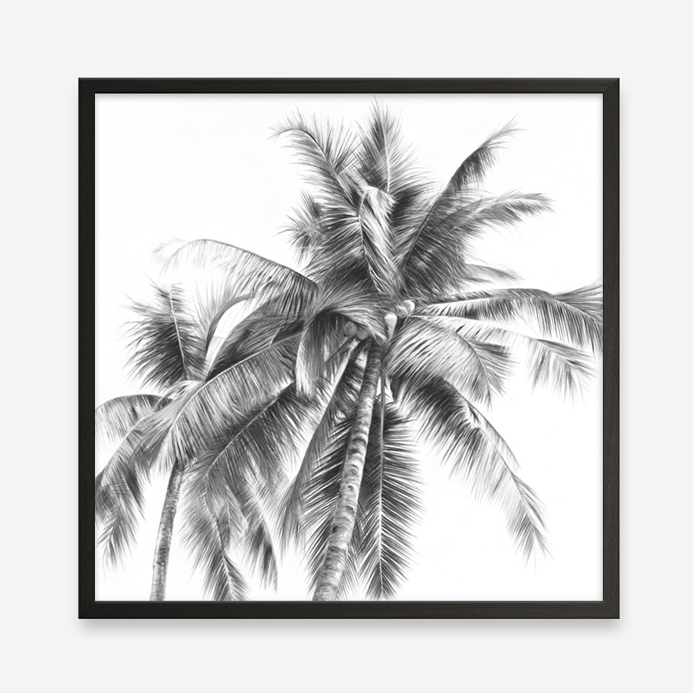 Shop Summer Palms I (B&W) (Square) Art Print a coastal themed painted wall art print from The Print Emporium wall artwork collection - Buy Australian made fine art painting style poster and framed prints for the home and your interior decor room, TPE-357-AP