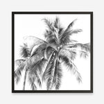 Shop Summer Palms I (B&W) (Square) Art Print a coastal themed painted wall art print from The Print Emporium wall artwork collection - Buy Australian made fine art painting style poster and framed prints for the home and your interior decor room, TPE-357-AP
