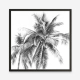 Shop Summer Palms I (B&W) (Square) Art Print a coastal themed painted wall art print from The Print Emporium wall artwork collection - Buy Australian made fine art painting style poster and framed prints for the home and your interior decor room, TPE-357-AP