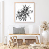 Shop Summer Palms I (B&W) (Square) Art Print a coastal themed painted wall art print from The Print Emporium wall artwork collection - Buy Australian made fine art painting style poster and framed prints for the home and your interior decor room, TPE-357-AP