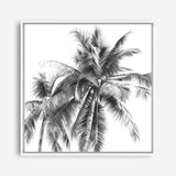 Shop Summer Palms I (B&W) (Square) Canvas Print a coastal themed painted framed canvas wall art print from The Print Emporium artwork collection - Buy Australian made fine art painting style stretched canvas prints for the home and your interior decor space, TPE-357-CA-40X40-NF