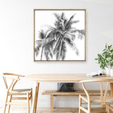 Shop Summer Palms I (B&W) (Square) Canvas Print a coastal themed painted framed canvas wall art print from The Print Emporium artwork collection - Buy Australian made fine art painting style stretched canvas prints for the home and your interior decor space, TPE-357-CA-40X40-NF