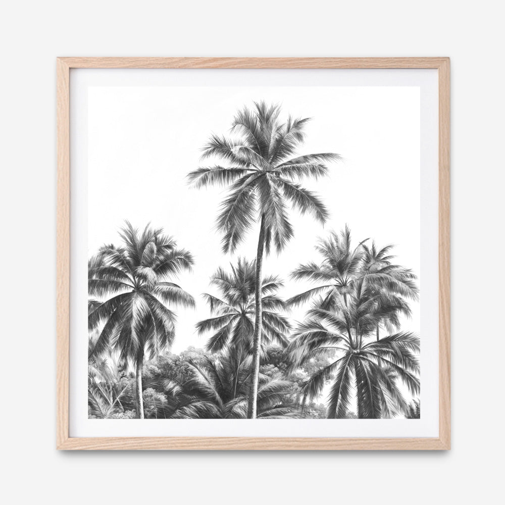 Shop Summer Palms II (B&W) (Square) Art Print a coastal themed painted wall art print from The Print Emporium wall artwork collection - Buy Australian made fine art painting style poster and framed prints for the home and your interior decor room, TPE-358-AP