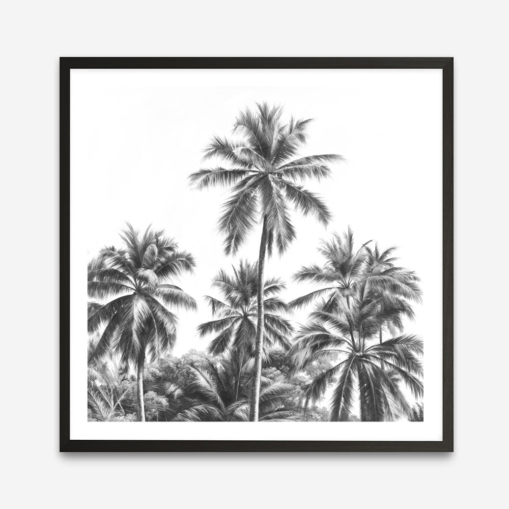 Shop Summer Palms II (B&W) (Square) Art Print a coastal themed painted wall art print from The Print Emporium wall artwork collection - Buy Australian made fine art painting style poster and framed prints for the home and your interior decor room, TPE-358-AP