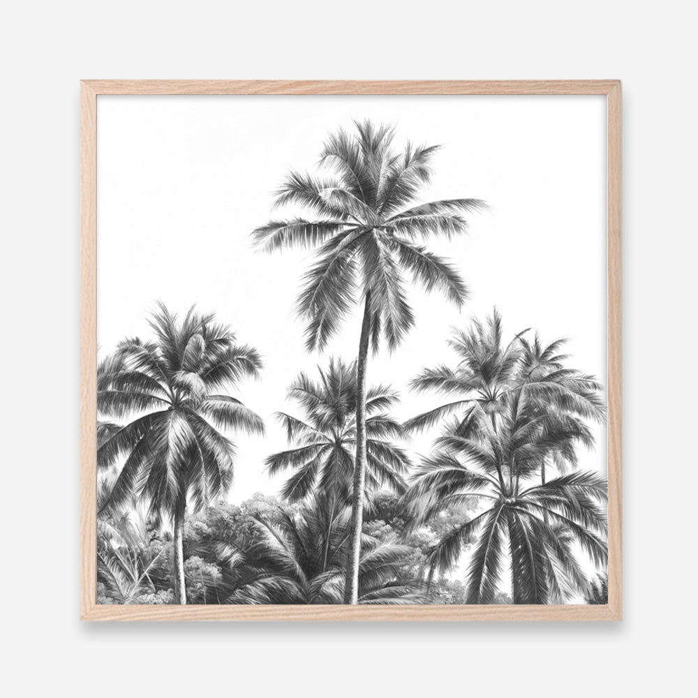 Shop Summer Palms II (B&W) (Square) Art Print a coastal themed painted wall art print from The Print Emporium wall artwork collection - Buy Australian made fine art painting style poster and framed prints for the home and your interior decor room, TPE-358-AP