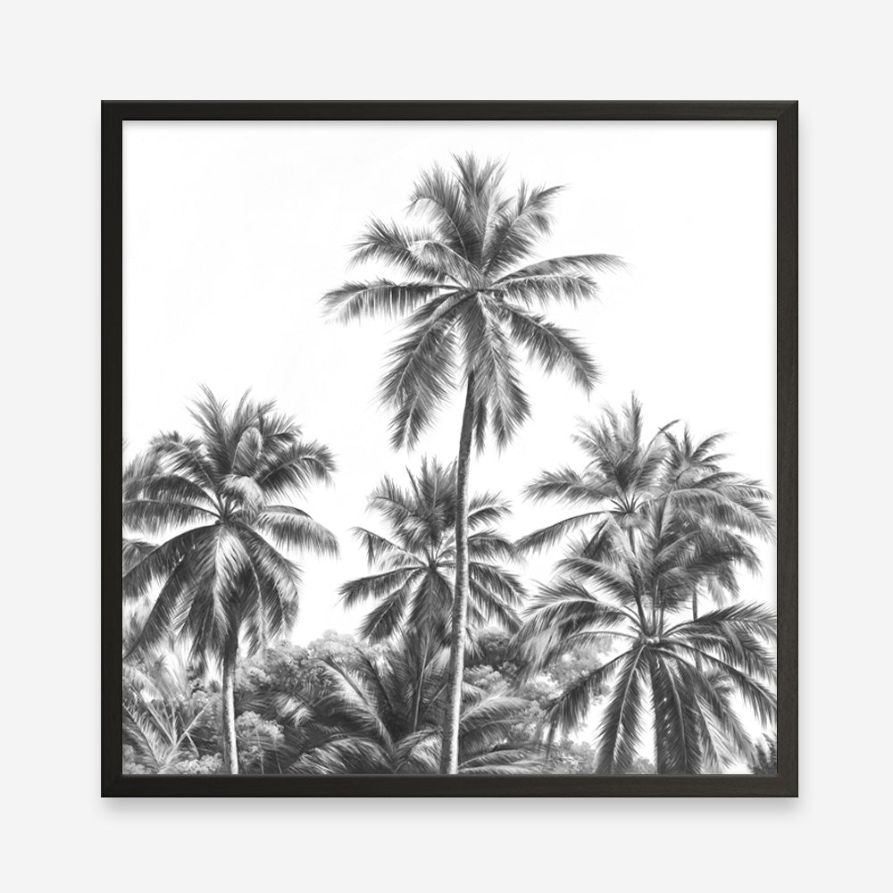Shop Summer Palms II (B&W) (Square) Art Print a coastal themed painted wall art print from The Print Emporium wall artwork collection - Buy Australian made fine art painting style poster and framed prints for the home and your interior decor room, TPE-358-AP