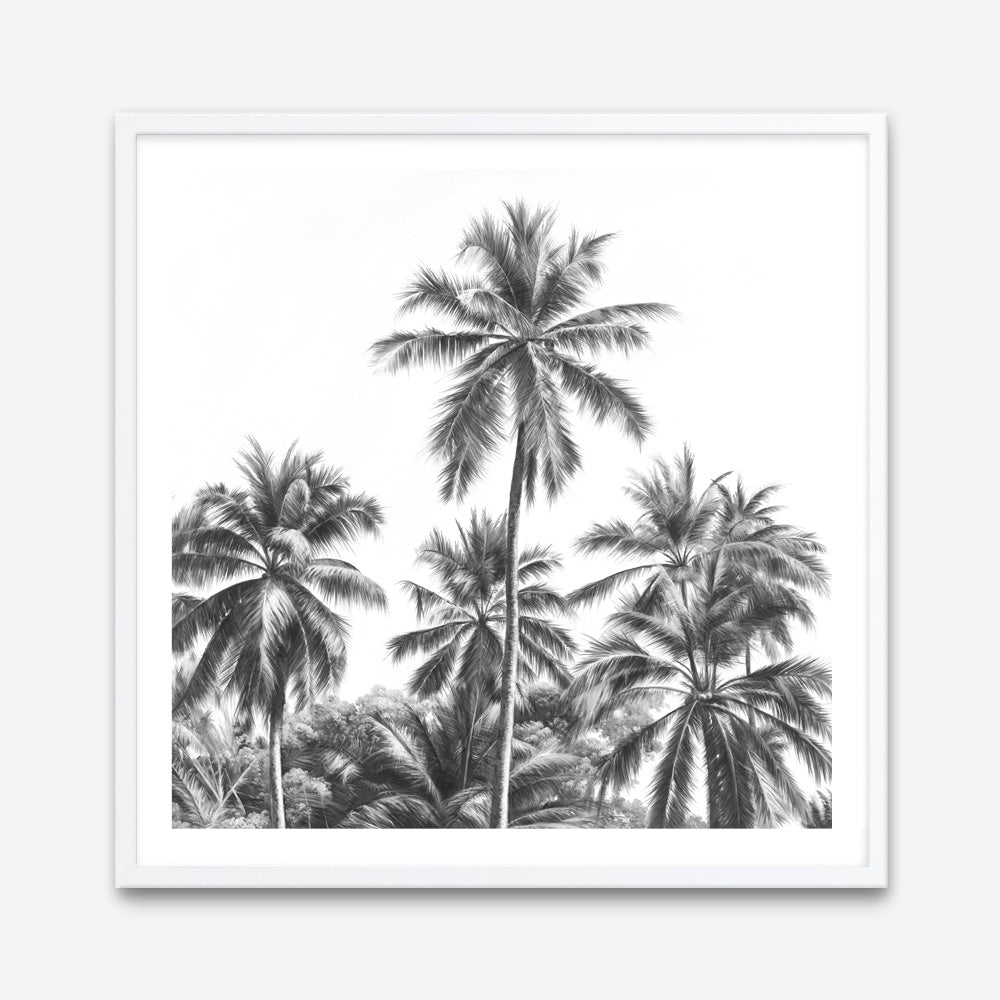 Shop Summer Palms II (B&W) (Square) Art Print a coastal themed painted wall art print from The Print Emporium wall artwork collection - Buy Australian made fine art painting style poster and framed prints for the home and your interior decor room, TPE-358-AP