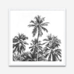 Shop Summer Palms II (B&W) (Square) Art Print a coastal themed painted wall art print from The Print Emporium wall artwork collection - Buy Australian made fine art painting style poster and framed prints for the home and your interior decor room, TPE-358-AP