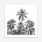 Shop Summer Palms II (B&W) (Square) Art Print a coastal themed painted wall art print from The Print Emporium wall artwork collection - Buy Australian made fine art painting style poster and framed prints for the home and your interior decor room, TPE-358-AP