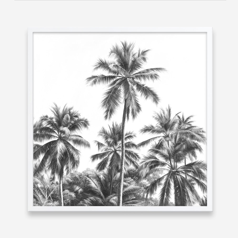 Shop Summer Palms II (B&W) (Square) Art Print a coastal themed painted wall art print from The Print Emporium wall artwork collection - Buy Australian made fine art painting style poster and framed prints for the home and your interior decor room, TPE-358-AP