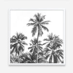 Shop Summer Palms II (B&W) (Square) Art Print a coastal themed painted wall art print from The Print Emporium wall artwork collection - Buy Australian made fine art painting style poster and framed prints for the home and your interior decor room, TPE-358-AP