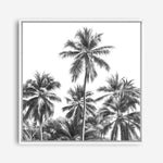 Shop Summer Palms II (B&W) (Square) Canvas Print a coastal themed painted framed canvas wall art print from The Print Emporium artwork collection - Buy Australian made fine art painting style stretched canvas prints for the home and your interior decor space, TPE-358-CA-40X40-NF