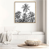 Shop Summer Palms II (B&W) (Square) Canvas Print a coastal themed painted framed canvas wall art print from The Print Emporium artwork collection - Buy Australian made fine art painting style stretched canvas prints for the home and your interior decor space, TPE-358-CA-40X40-NF