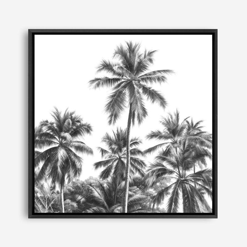 Shop Summer Palms II (B&W) (Square) Canvas Print a coastal themed painted framed canvas wall art print from The Print Emporium artwork collection - Buy Australian made fine art painting style stretched canvas prints for the home and your interior decor space, TPE-358-CA-40X40-NF