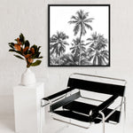 Shop Summer Palms II (B&W) (Square) Canvas Print a coastal themed painted framed canvas wall art print from The Print Emporium artwork collection - Buy Australian made fine art painting style stretched canvas prints for the home and your interior decor space, TPE-358-CA-40X40-NF