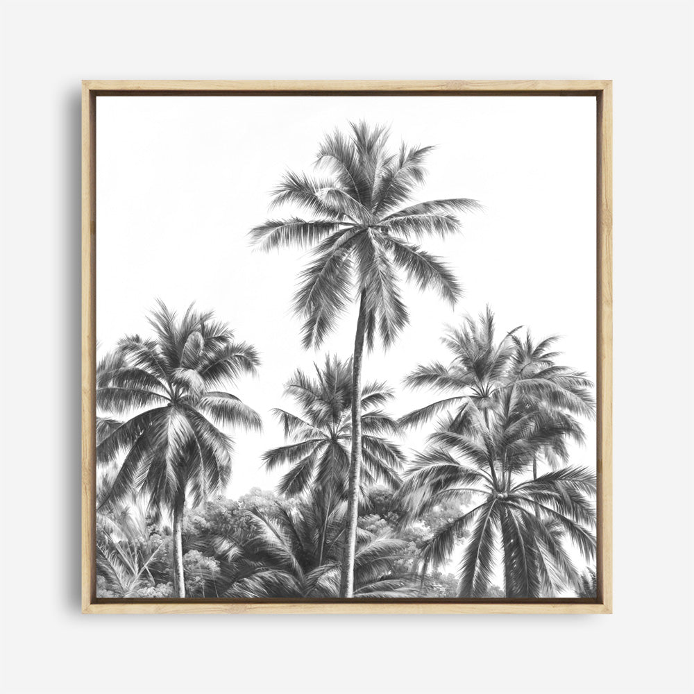 Shop Summer Palms II (B&W) (Square) Canvas Print a coastal themed painted framed canvas wall art print from The Print Emporium artwork collection - Buy Australian made fine art painting style stretched canvas prints for the home and your interior decor space, TPE-358-CA-40X40-NF