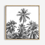 Shop Summer Palms II (B&W) (Square) Canvas Print a coastal themed painted framed canvas wall art print from The Print Emporium artwork collection - Buy Australian made fine art painting style stretched canvas prints for the home and your interior decor space, TPE-358-CA-40X40-NF