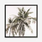 Shop Summer Palms Light I (Square) Art Print a coastal themed painted wall art print from The Print Emporium wall artwork collection - Buy Australian made fine art painting style poster and framed prints for the home and your interior decor room, TPE-435-AP