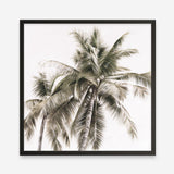 Shop Summer Palms Light I (Square) Art Print a coastal themed painted wall art print from The Print Emporium wall artwork collection - Buy Australian made fine art painting style poster and framed prints for the home and your interior decor room, TPE-435-AP
