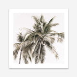 Shop Summer Palms Light I (Square) Art Print a coastal themed painted wall art print from The Print Emporium wall artwork collection - Buy Australian made fine art painting style poster and framed prints for the home and your interior decor room, TPE-435-AP