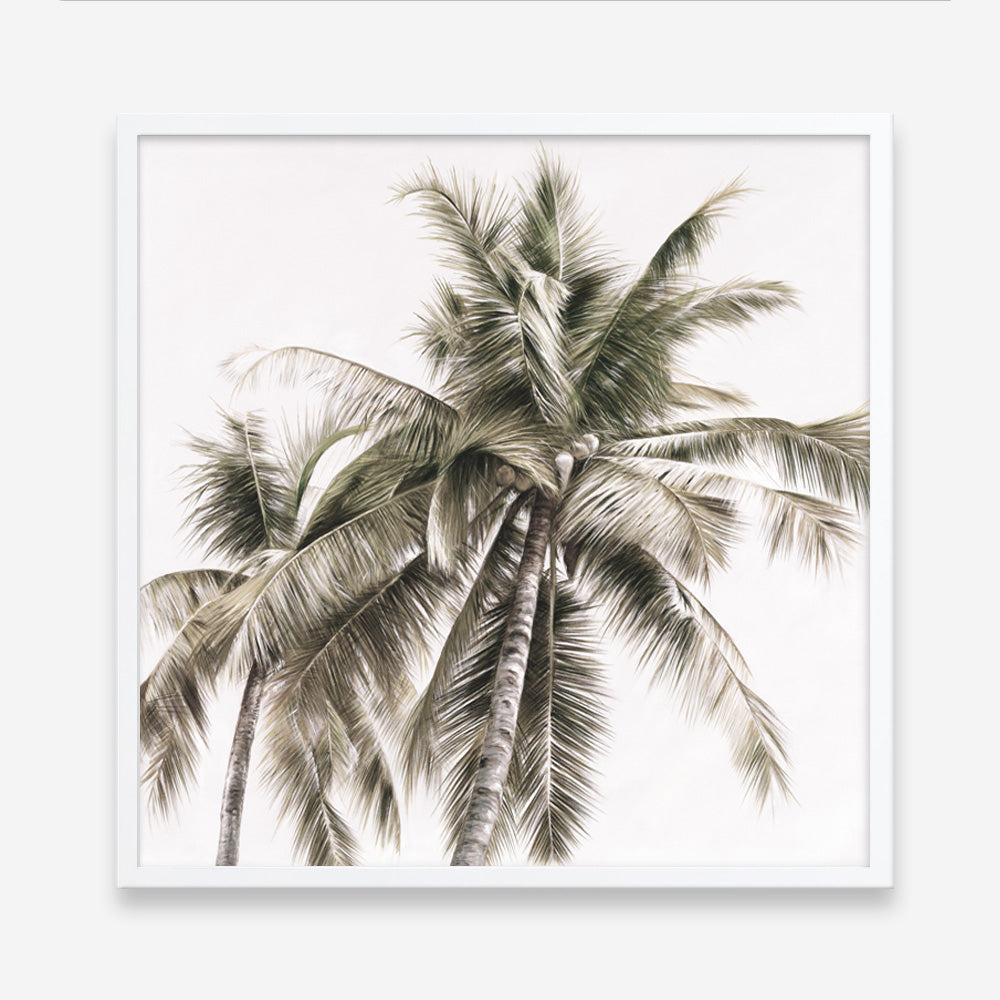 Shop Summer Palms Light I (Square) Art Print a coastal themed painted wall art print from The Print Emporium wall artwork collection - Buy Australian made fine art painting style poster and framed prints for the home and your interior decor room, TPE-435-AP