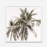 Shop Summer Palms Light I (Square) Art Print a coastal themed painted wall art print from The Print Emporium wall artwork collection - Buy Australian made fine art painting style poster and framed prints for the home and your interior decor room, TPE-435-AP