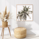 Shop Summer Palms Light I (Square) Art Print a coastal themed painted wall art print from The Print Emporium wall artwork collection - Buy Australian made fine art painting style poster and framed prints for the home and your interior decor room, TPE-435-AP