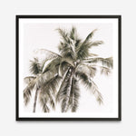 Shop Summer Palms Light I (Square) Art Print a coastal themed painted wall art print from The Print Emporium wall artwork collection - Buy Australian made fine art painting style poster and framed prints for the home and your interior decor room, TPE-435-AP