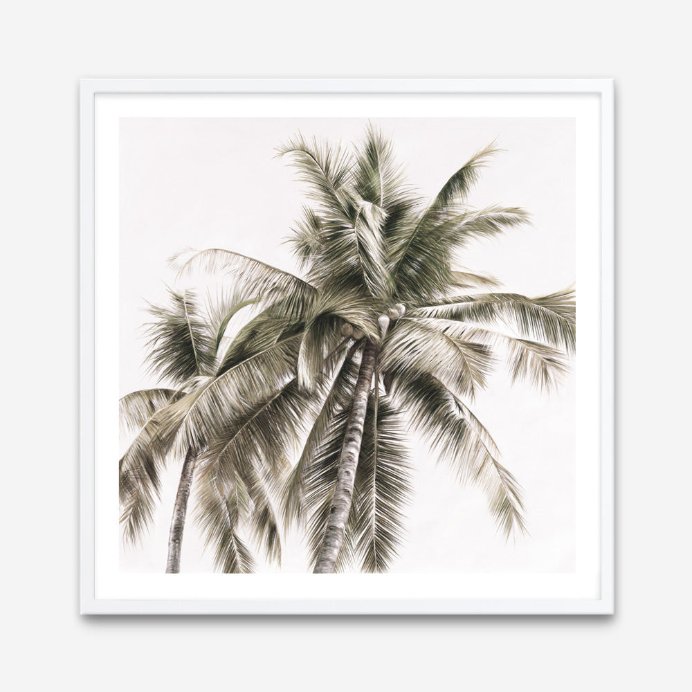 Shop Summer Palms Light I (Square) Art Print a coastal themed painted wall art print from The Print Emporium wall artwork collection - Buy Australian made fine art painting style poster and framed prints for the home and your interior decor room, TPE-435-AP