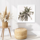 Shop Summer Palms Light I (Square) Art Print a coastal themed painted wall art print from The Print Emporium wall artwork collection - Buy Australian made fine art painting style poster and framed prints for the home and your interior decor room, TPE-435-AP