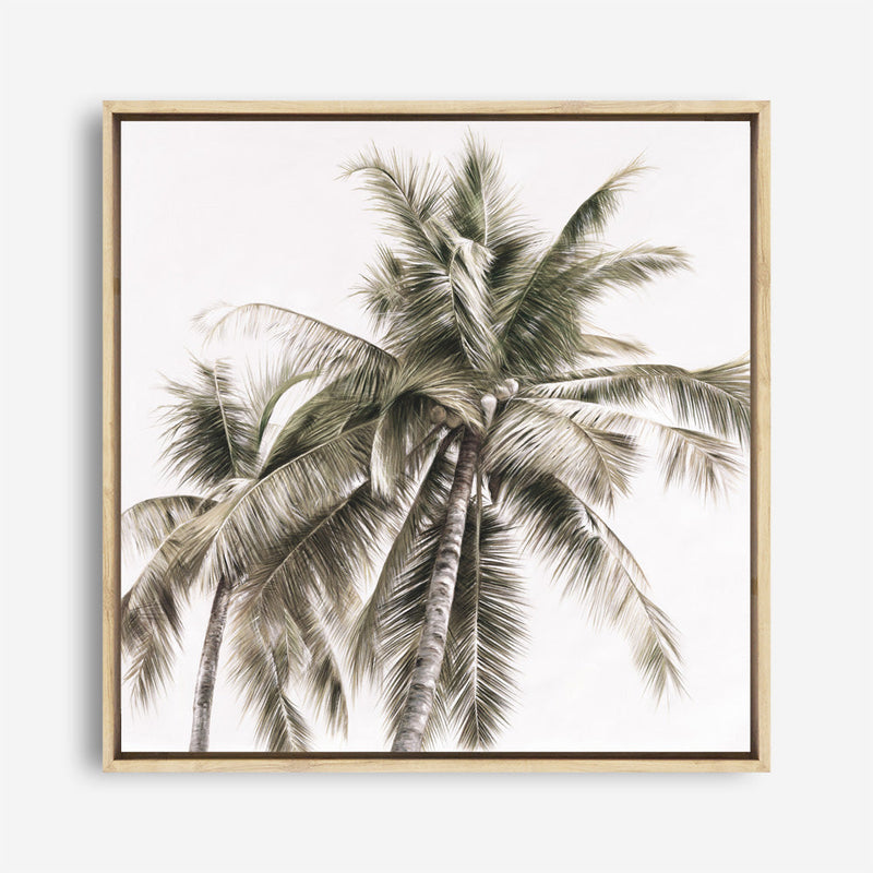 Shop Summer Palms Light I (Square) Canvas Print a coastal themed painted framed canvas wall art print from The Print Emporium artwork collection - Buy Australian made fine art painting style stretched canvas prints for the home and your interior decor space, TPE-435-CA-40X40-NF