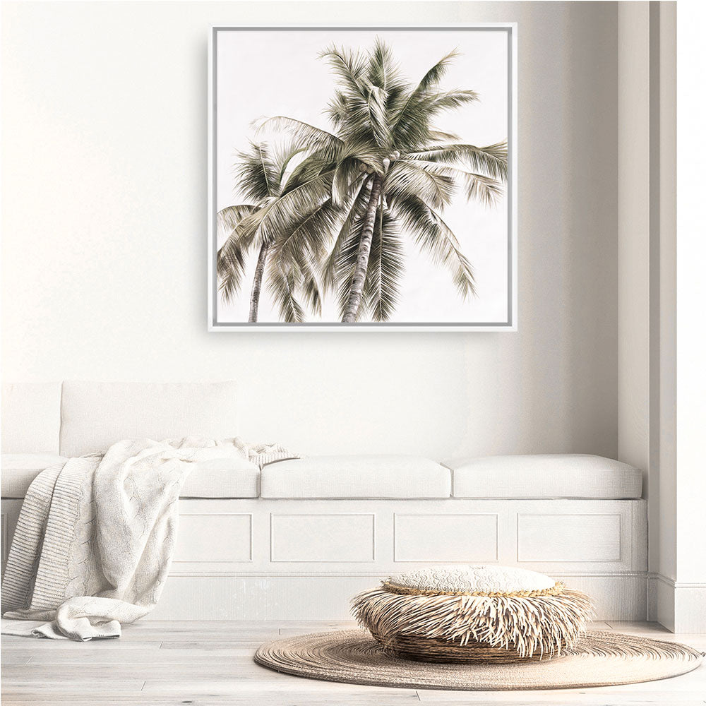 Shop Summer Palms Light I (Square) Canvas Print a coastal themed painted framed canvas wall art print from The Print Emporium artwork collection - Buy Australian made fine art painting style stretched canvas prints for the home and your interior decor space, TPE-435-CA-40X40-NF