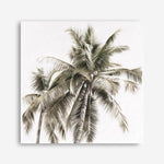 Shop Summer Palms Light I (Square) Canvas Print a coastal themed painted framed canvas wall art print from The Print Emporium artwork collection - Buy Australian made fine art painting style stretched canvas prints for the home and your interior decor space, TPE-435-CA-40X40-NF