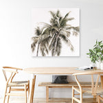 Shop Summer Palms Light I (Square) Canvas Print a coastal themed painted framed canvas wall art print from The Print Emporium artwork collection - Buy Australian made fine art painting style stretched canvas prints for the home and your interior decor space, TPE-435-CA-40X40-NF