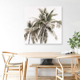 Shop Summer Palms Light I (Square) Canvas Print a coastal themed painted framed canvas wall art print from The Print Emporium artwork collection - Buy Australian made fine art painting style stretched canvas prints for the home and your interior decor space, TPE-435-CA-40X40-NF