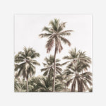 Shop Summer Palms Light II (Square) Art Print a coastal themed painted wall art print from The Print Emporium wall artwork collection - Buy Australian made fine art painting style poster and framed prints for the home and your interior decor room, TPE-436-AP