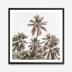 Shop Summer Palms Light II (Square) Art Print a coastal themed painted wall art print from The Print Emporium wall artwork collection - Buy Australian made fine art painting style poster and framed prints for the home and your interior decor room, TPE-436-AP